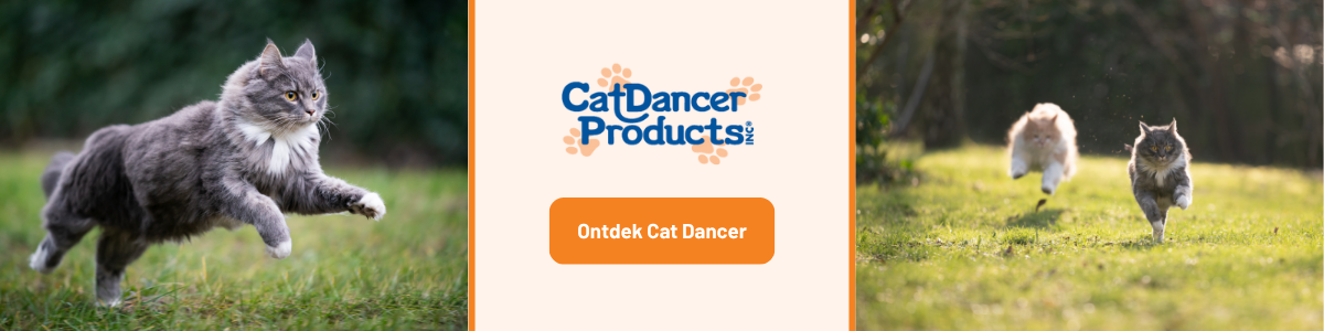 Cat Dancer